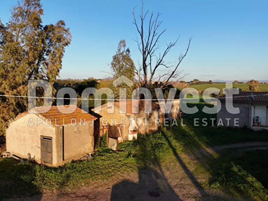 Immagine 5 di Rustico / casale in vendita  in STRADA PROVINCIALE PESCIA ROMANA a Capalbio