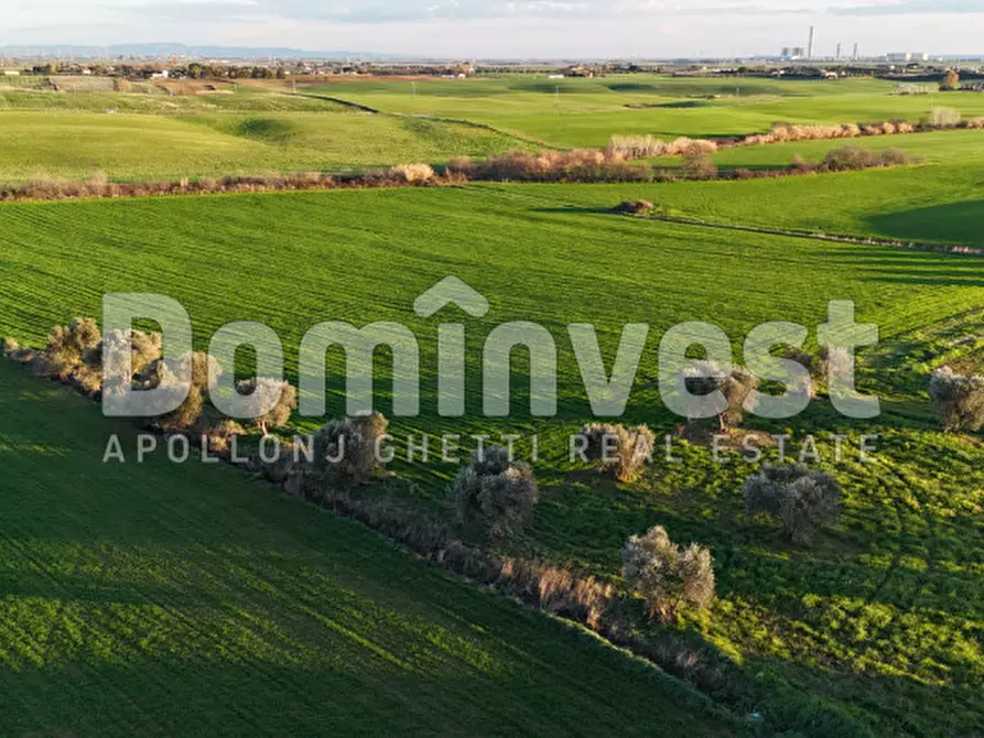 Immagine 9 di Rustico / casale in vendita  in STRADA PROVINCIALE PESCIA ROMANA a Capalbio