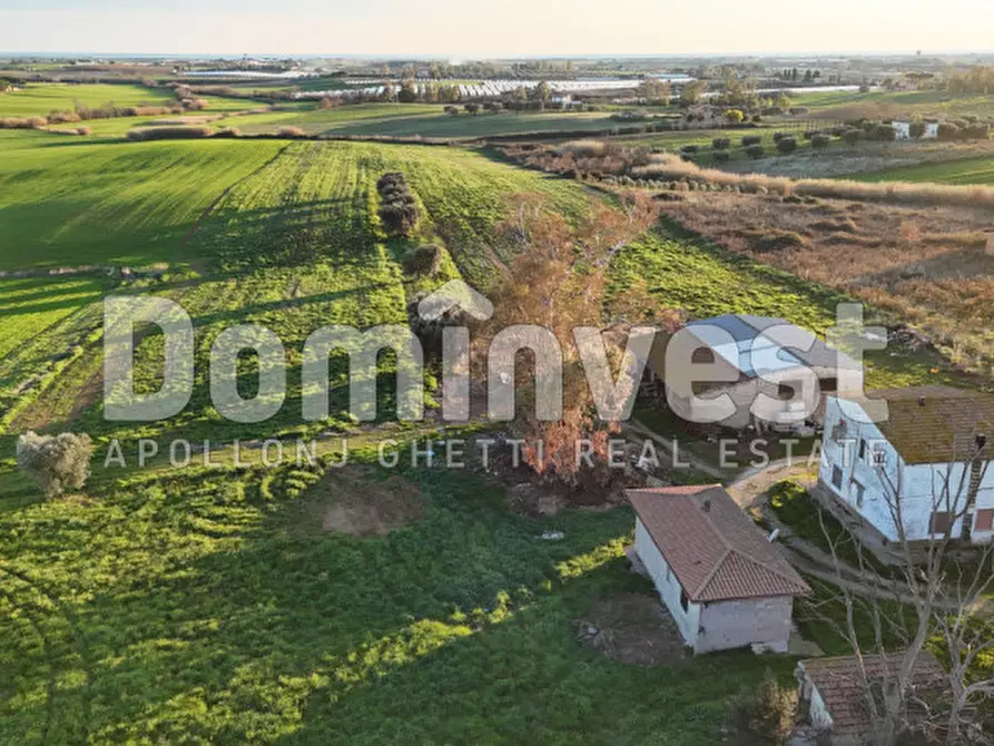 Immagine 10 di Rustico / casale in vendita  in STRADA PROVINCIALE PESCIA ROMANA a Capalbio