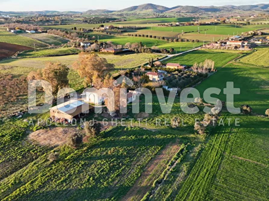 Immagine 11 di Rustico / casale in vendita  in STRADA PROVINCIALE PESCIA ROMANA a Capalbio