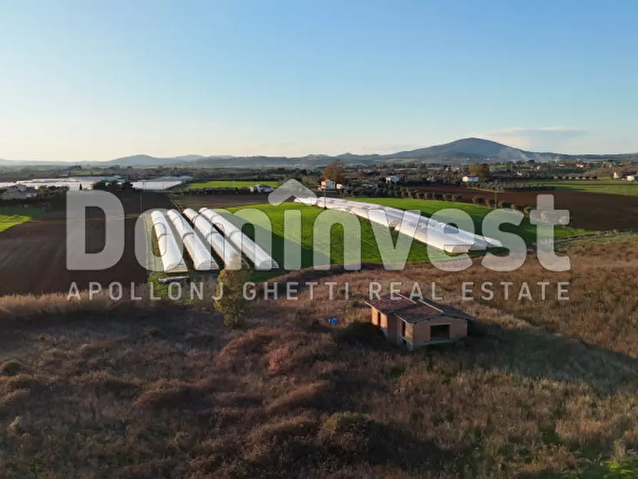 Immagine 13 di Rustico / casale in vendita  in STRADA PROVINCIALE PESCIA ROMANA a Capalbio