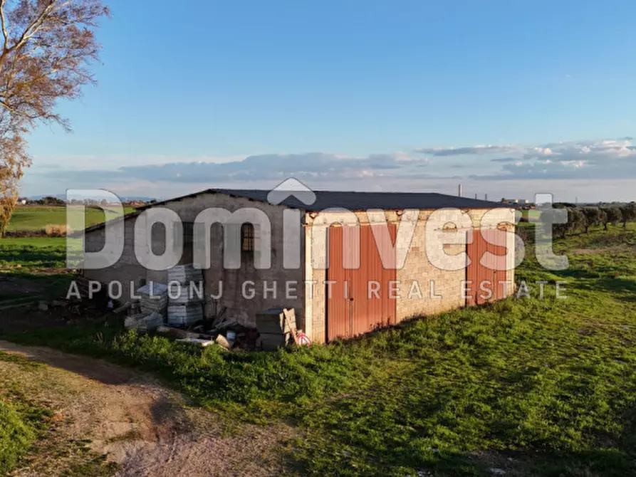 Immagine 14 di Rustico / casale in vendita  in STRADA PROVINCIALE PESCIA ROMANA a Capalbio