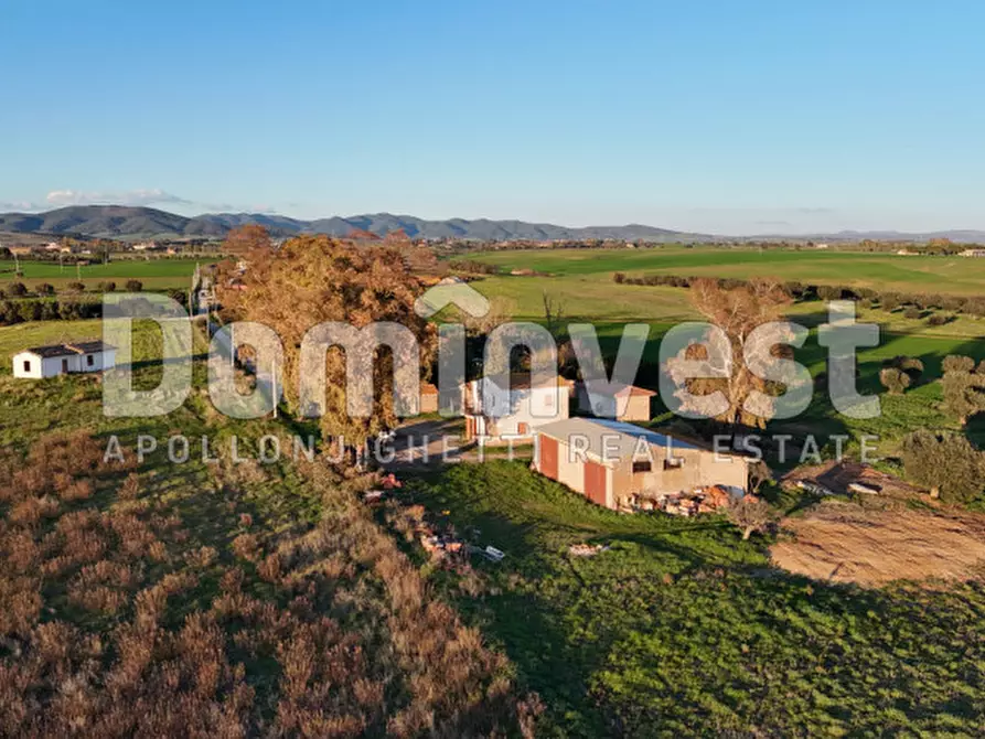 Immagine 16 di Rustico / casale in vendita  in STRADA PROVINCIALE PESCIA ROMANA a Capalbio