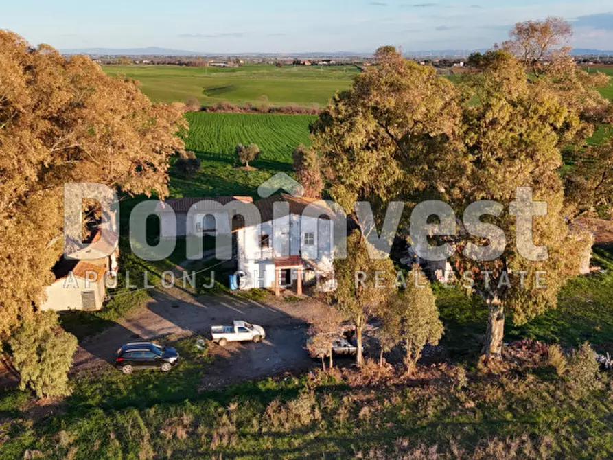 Immagine 17 di Rustico / casale in vendita  in STRADA PROVINCIALE PESCIA ROMANA a Capalbio