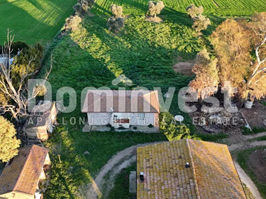 Immagine 18 di Rustico / casale in vendita  in STRADA PROVINCIALE PESCIA ROMANA a Capalbio
