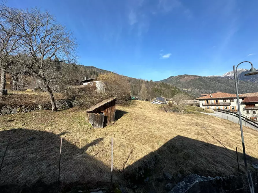 Immagine 3 di Terreno in vendita  in Via San Sebastiano a Porte Di Rendena