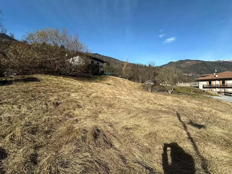 Immagine 4 di Terreno in vendita  in Via San Sebastiano a Porte Di Rendena