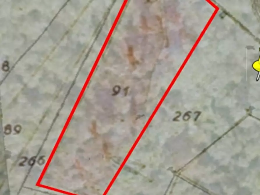 Immagine 11 di Rustico / casale in vendita  a Schio