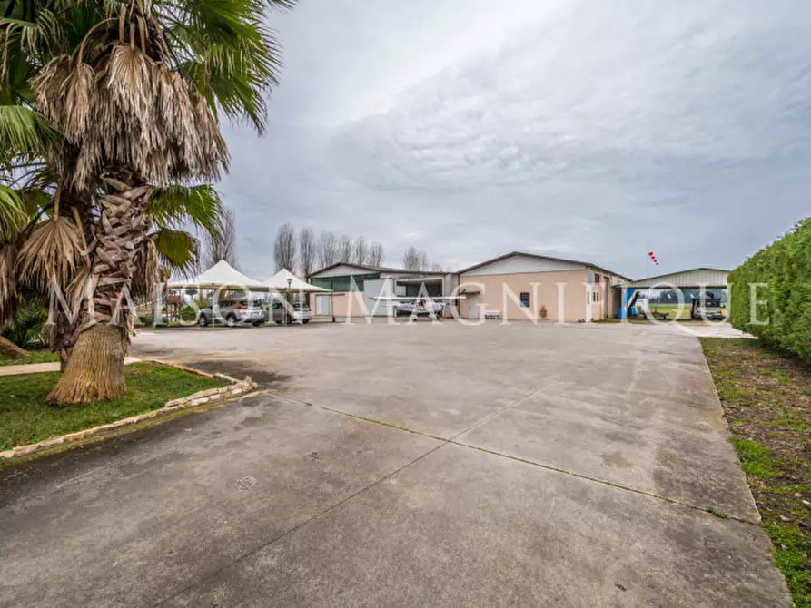 Immagine 6 di Villa in vendita  in Via Bassa di Pietro a Mesola