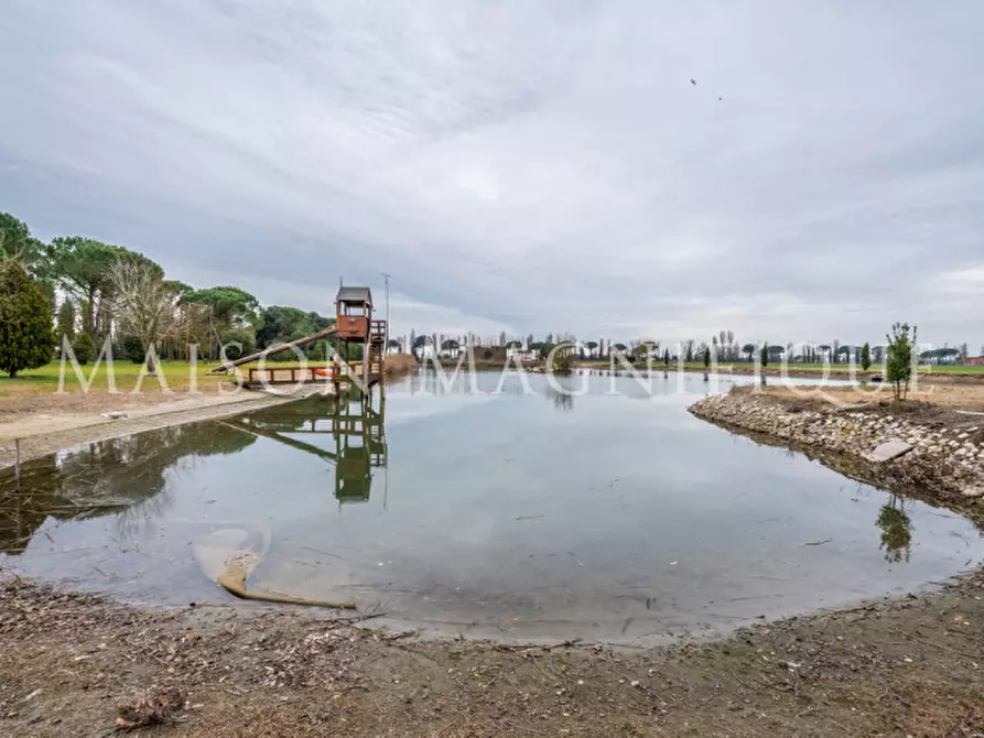 Immagine 88 di Villa in vendita  in Via Bassa di Pietro a Mesola