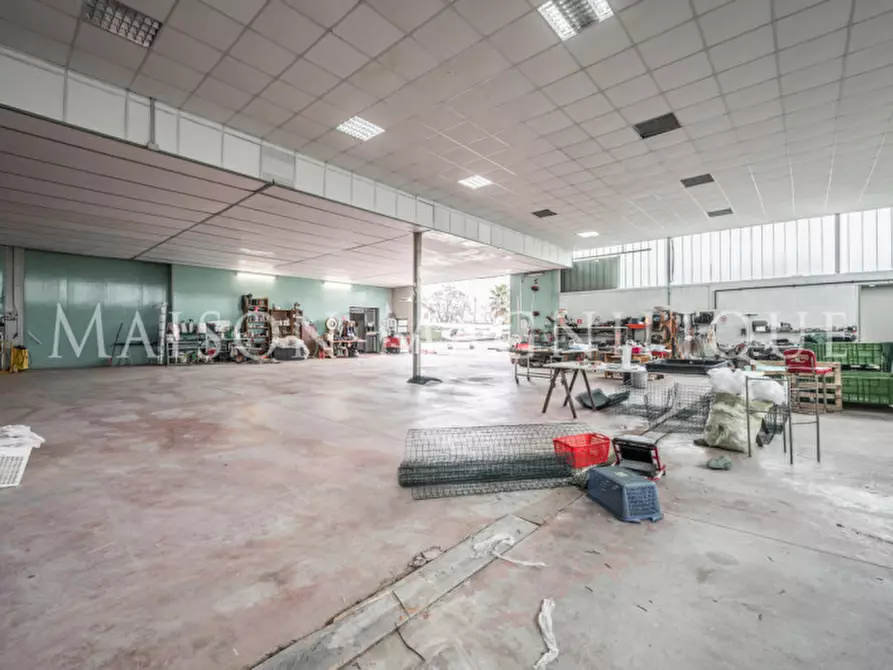 Immagine 94 di Villa in vendita  in Via Bassa di Pietro a Mesola