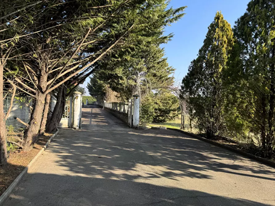 Immagine 4 di Casa bifamiliare in vendita  in Via delle Nocette 33 a Busano