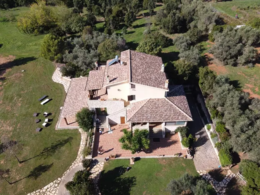 Immagine 3 di Villa in affitto  in Strada Poggio Pelato a Capalbio