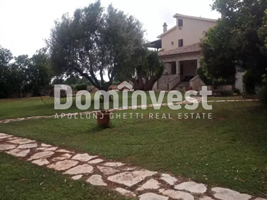 Immagine 5 di Villa in affitto  in Strada Poggio Pelato a Capalbio