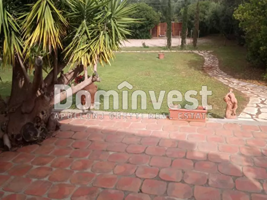 Immagine 6 di Villa in affitto  in Strada Poggio Pelato a Capalbio