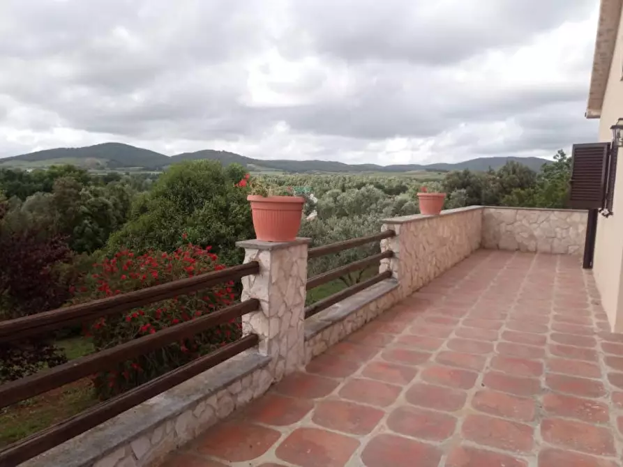 Immagine 9 di Villa in affitto  in Strada Poggio Pelato a Capalbio