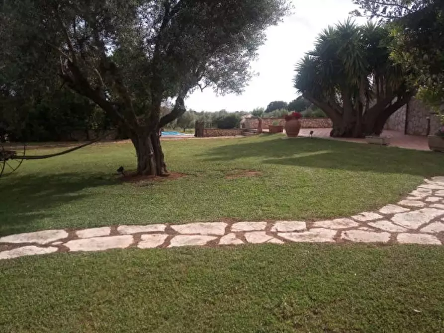 Immagine 10 di Villa in affitto  in Strada Poggio Pelato a Capalbio