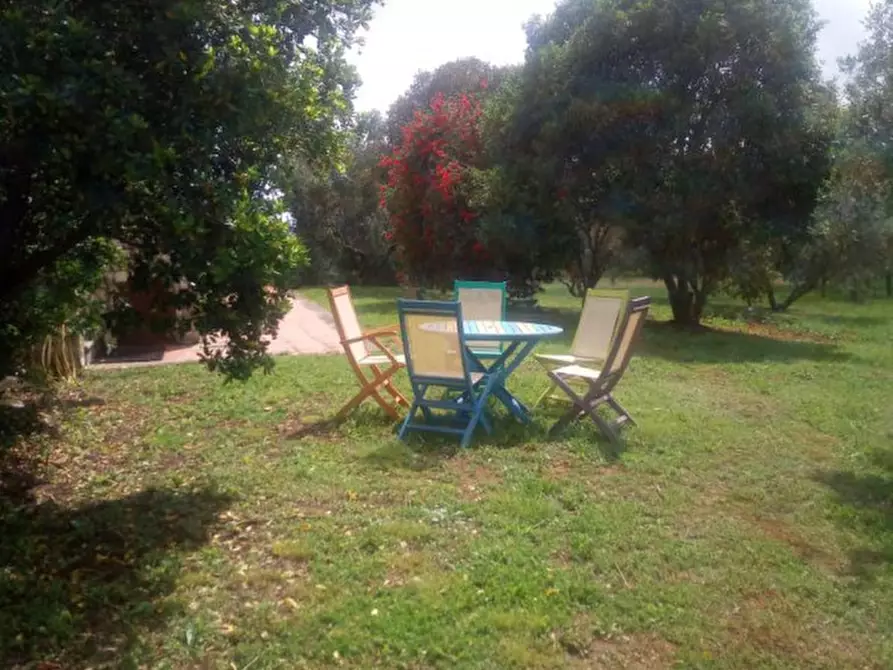 Immagine 11 di Villa in affitto  in Strada Poggio Pelato a Capalbio