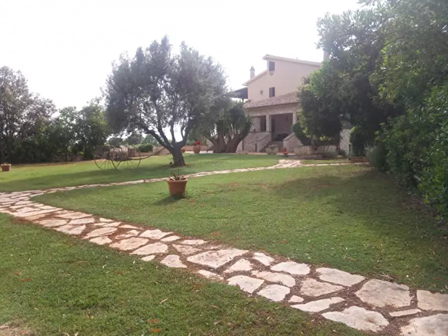 Immagine 13 di Villa in affitto  in Strada Poggio Pelato a Capalbio