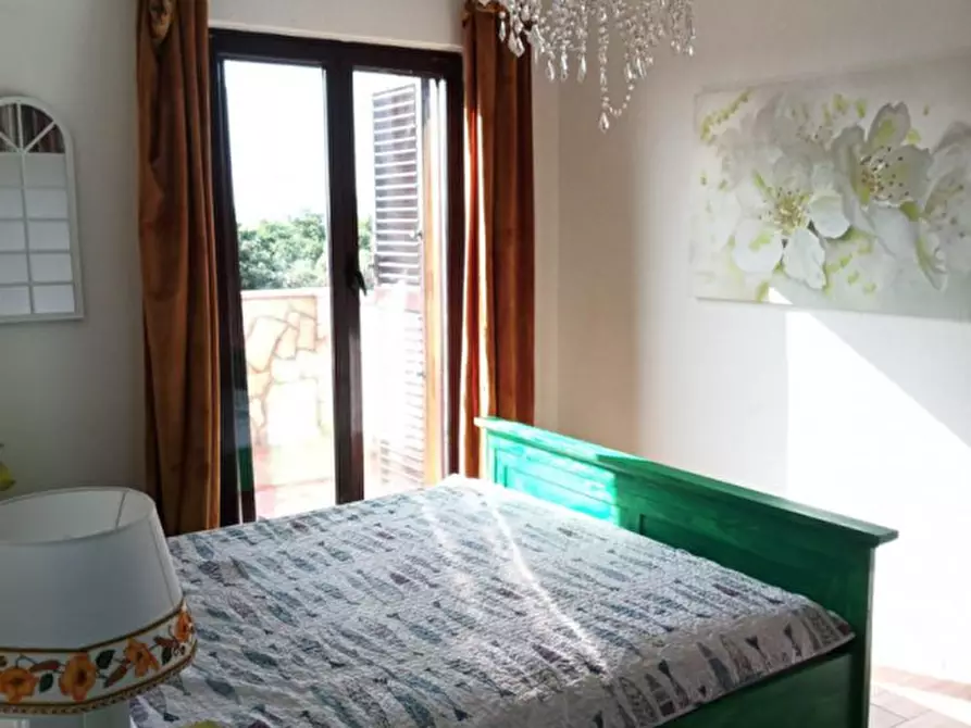 Immagine 15 di Villa in affitto  in Strada Poggio Pelato a Capalbio