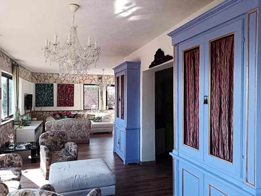 Immagine 19 di Villa in affitto  in Strada Poggio Pelato a Capalbio