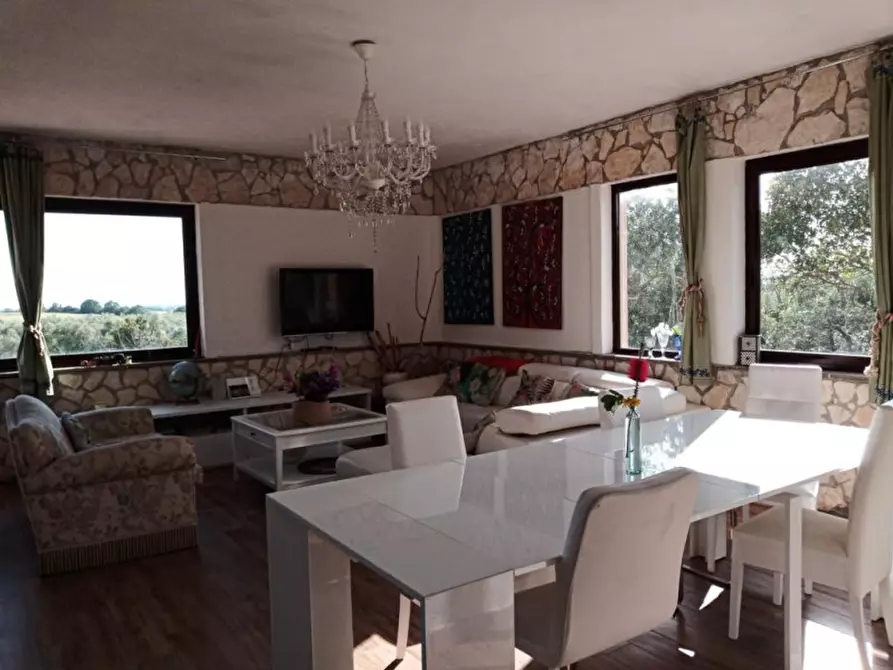 Immagine 25 di Villa in affitto  in Strada Poggio Pelato a Capalbio