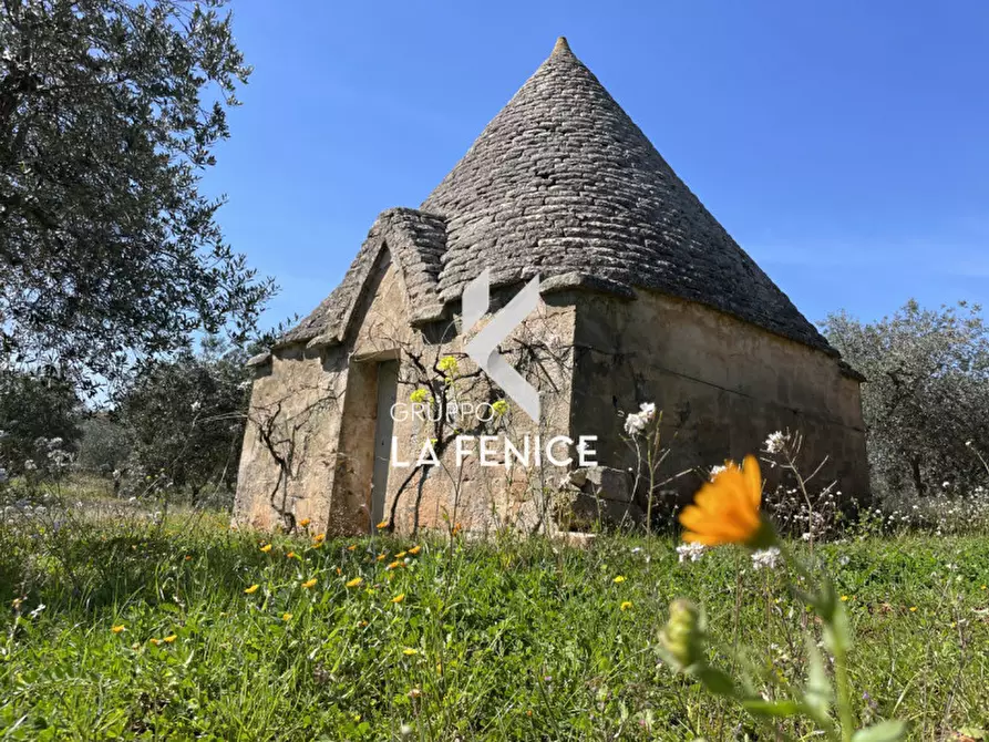 Immagine 1 di Rustico / casale in vendita  in c.da Tufara a Cisternino