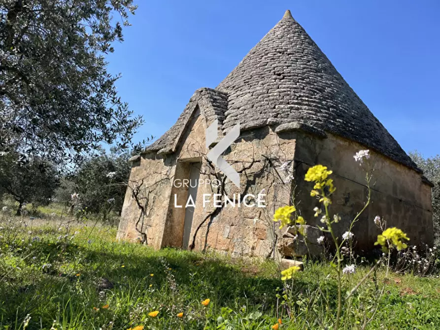 Immagine 8 di Rustico / casale in vendita  in c.da Tufara a Cisternino