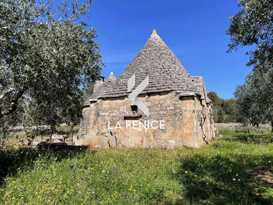 Immagine 9 di Rustico / casale in vendita  in c.da Tufara a Cisternino