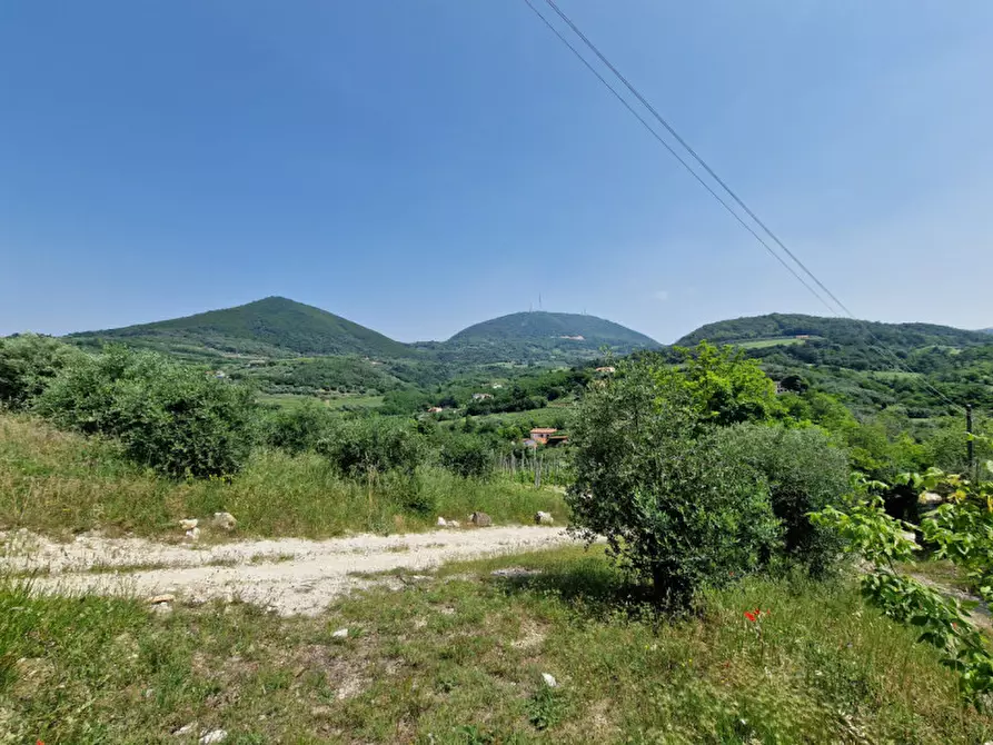 Immagine 15 di Rustico / casale in vendita  in VIA CROSAROLA a Cinto Euganeo