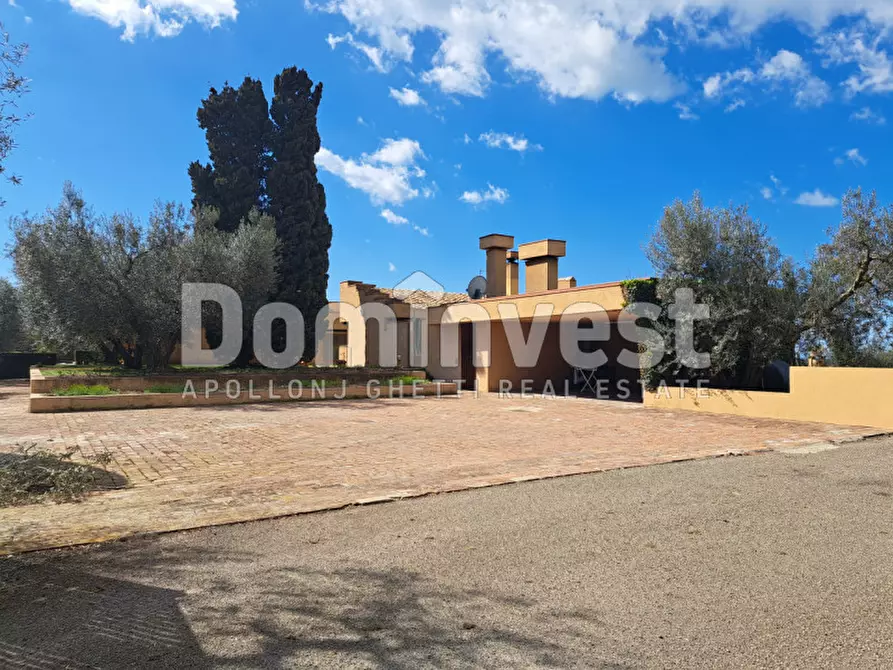 Immagine 14 di Villa in affitto  in Le murelle a Montalto Di Castro