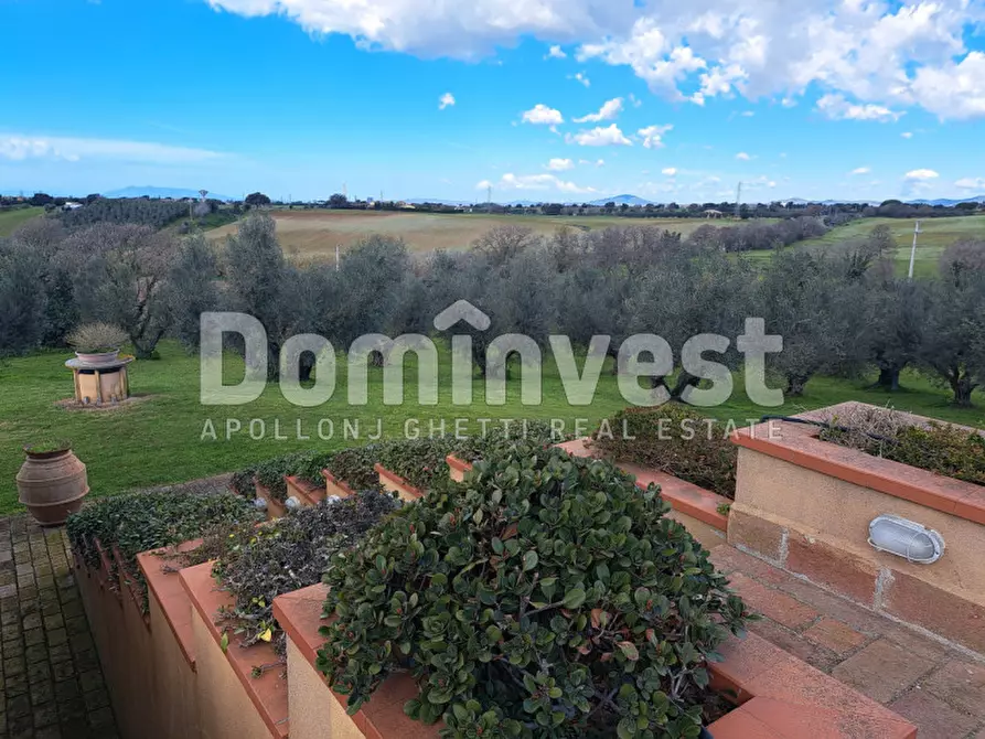 Immagine 17 di Villa in affitto  in Le murelle a Montalto Di Castro