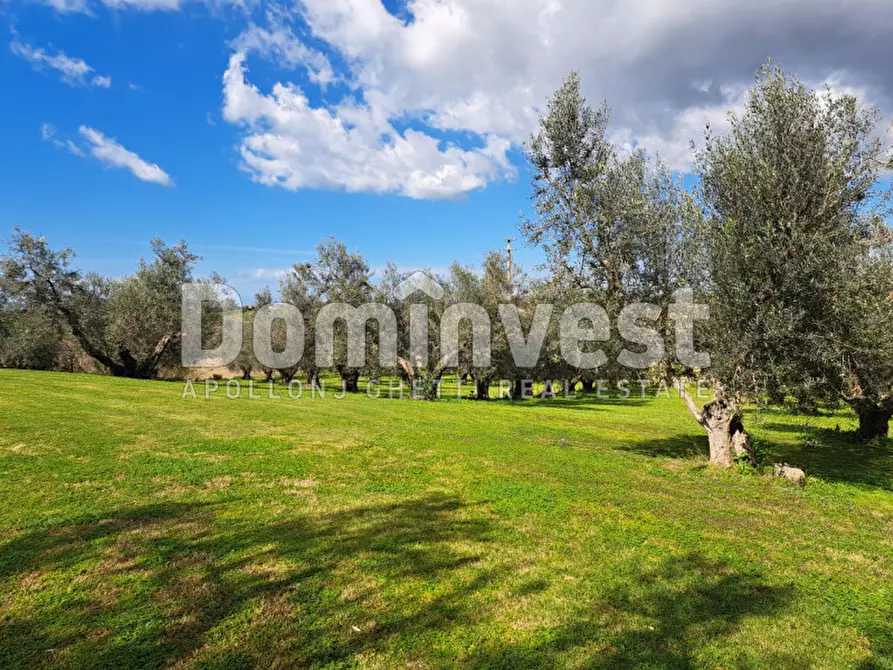 Immagine 18 di Villa in affitto  in Le murelle a Montalto Di Castro