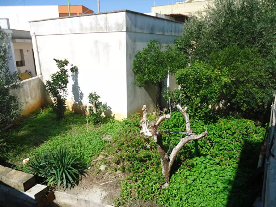 Immagine 11 di Casa indipendente in vendita  in Via Gallipoli a Racale