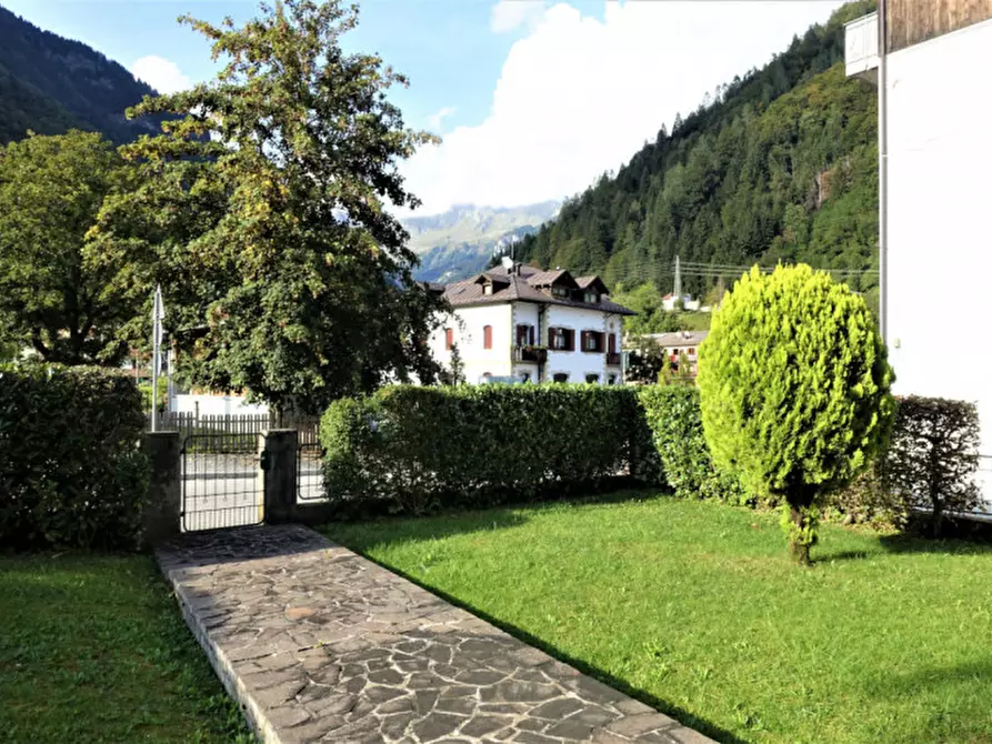 Immagine 2 di Casa indipendente in vendita  in Via Belluno 3 a Forni Avoltri