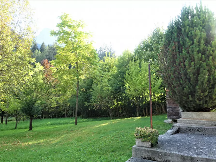 Immagine 3 di Casa indipendente in vendita  in Via Belluno 3 a Forni Avoltri