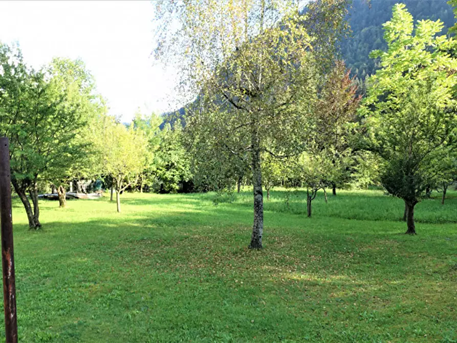 Immagine 4 di Casa indipendente in vendita  in Via Belluno 3 a Forni Avoltri