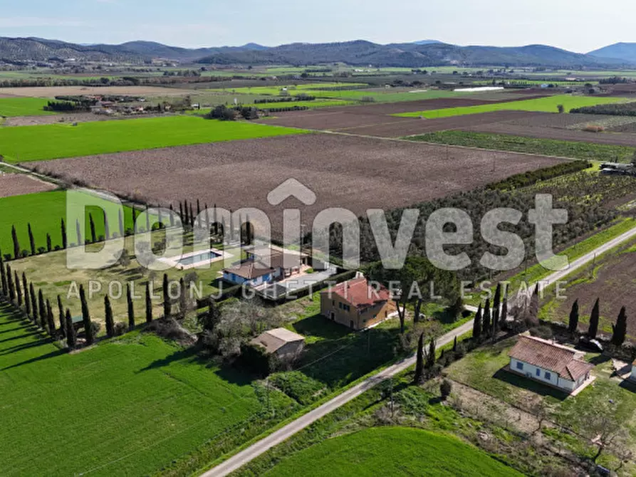Immagine 3 di Rustico / casale in vendita  in Strada consorziale quarto albegna a Manciano