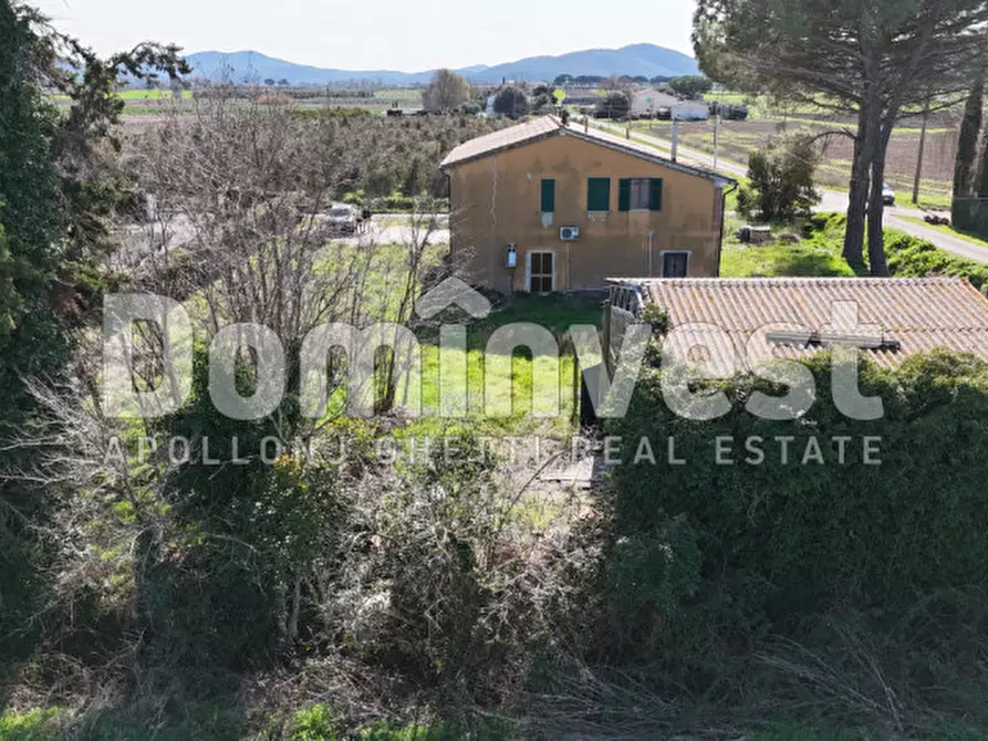 Immagine 6 di Rustico / casale in vendita  in Strada consorziale quarto albegna a Manciano