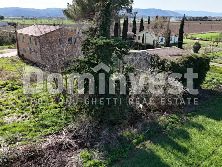 Immagine 7 di Rustico / casale in vendita  in Strada consorziale quarto albegna a Manciano