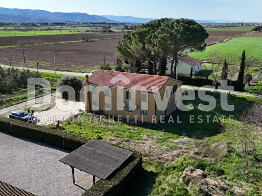 Immagine 8 di Rustico / casale in vendita  in Strada consorziale quarto albegna a Manciano