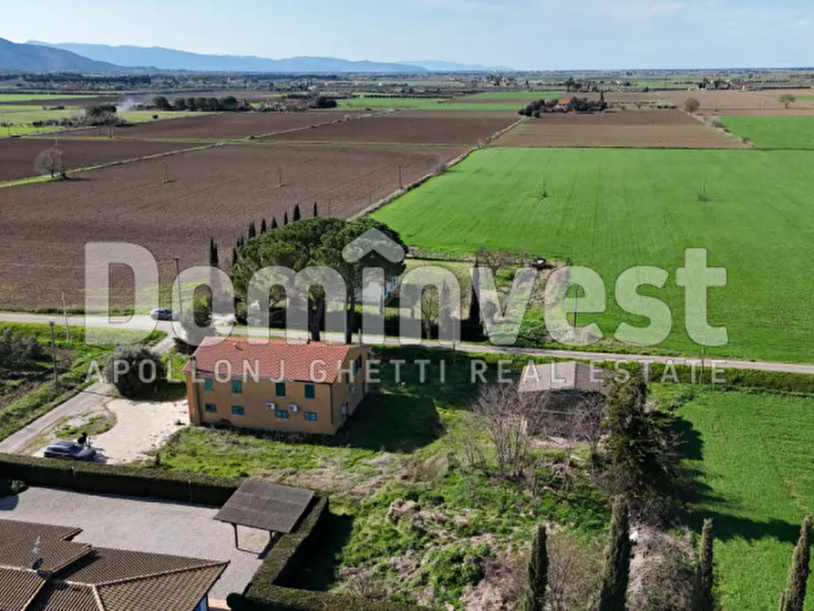 Immagine 9 di Rustico / casale in vendita  in Strada consorziale quarto albegna a Manciano