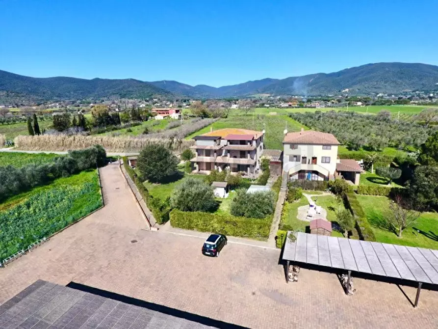 Immagine 21 di Appartamento in vendita  a Castiglione Della Pescaia