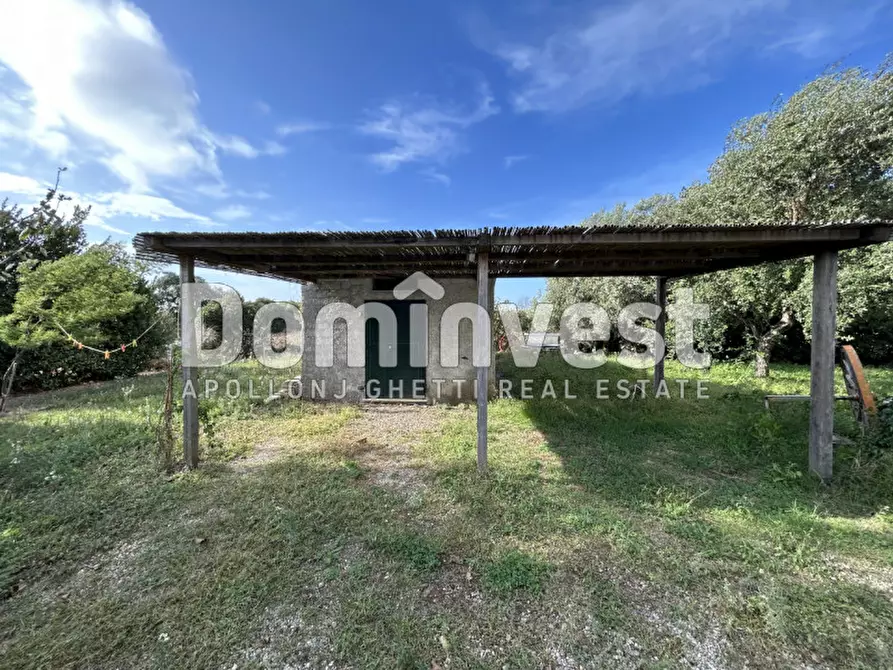 Immagine 2 di Villa in affitto  a Montalto Di Castro