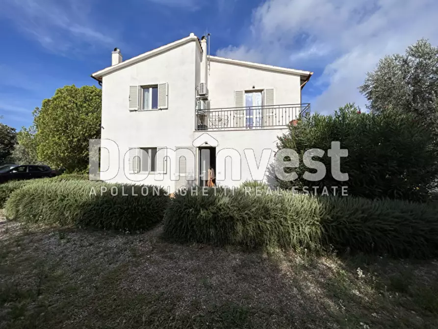 Immagine 5 di Villa in affitto  a Montalto Di Castro