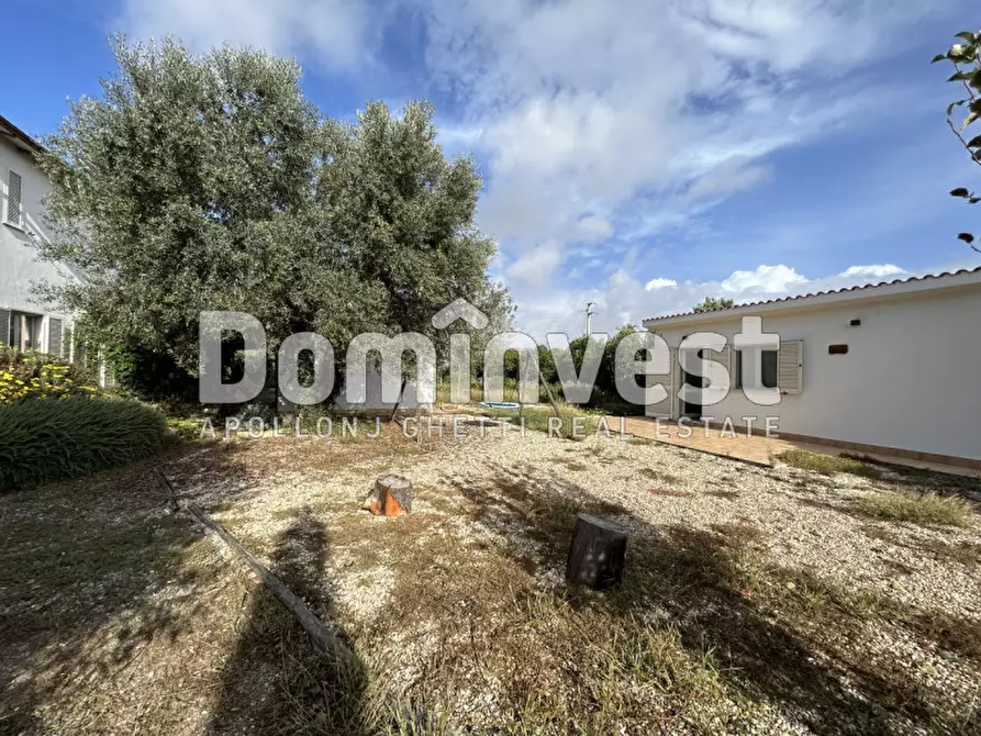 Immagine 6 di Villa in affitto  a Montalto Di Castro