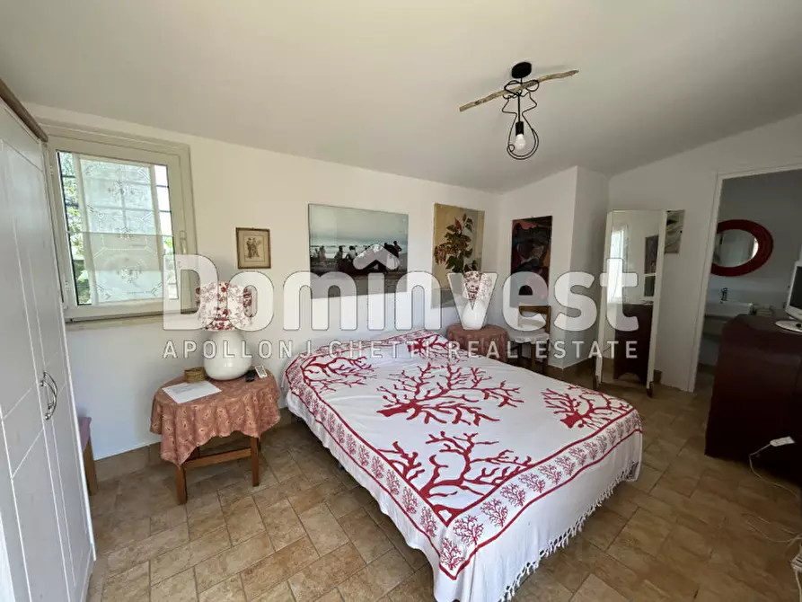 Immagine 11 di Villa in affitto  a Montalto Di Castro