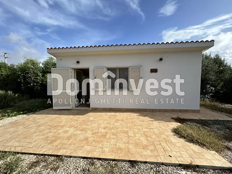 Immagine 12 di Villa in affitto  a Montalto Di Castro