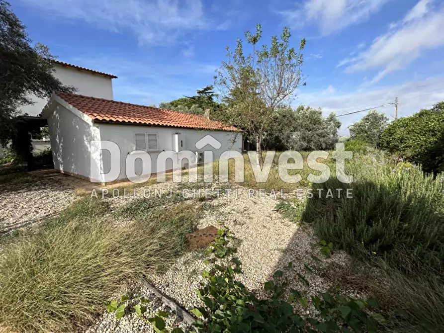 Immagine 13 di Villa in affitto  a Montalto Di Castro