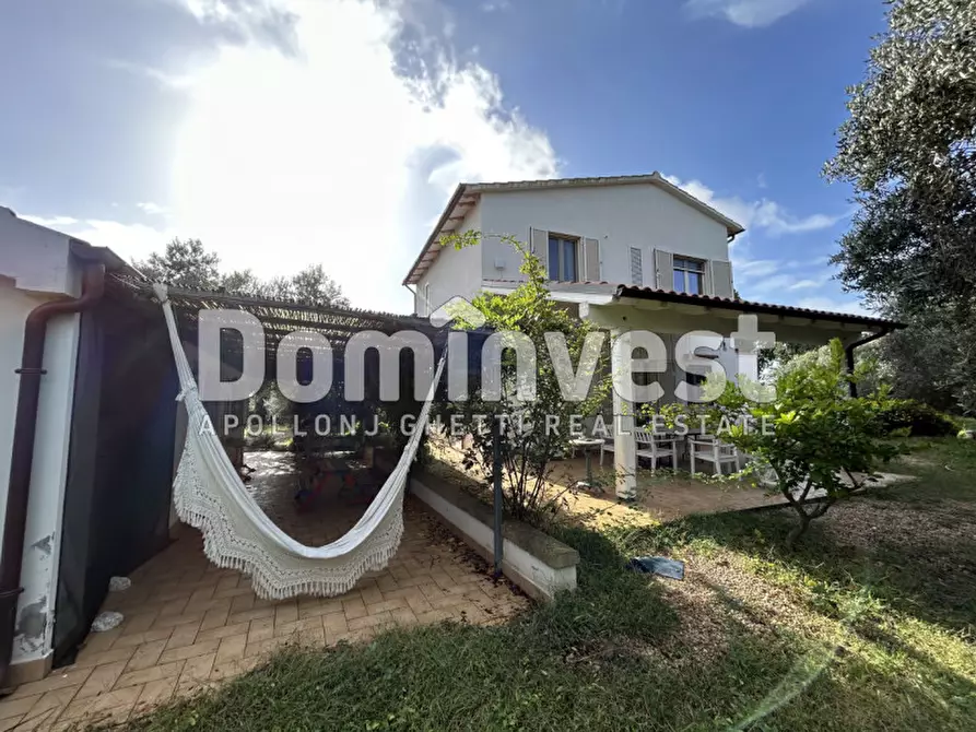 Immagine 19 di Villa in affitto  a Montalto Di Castro